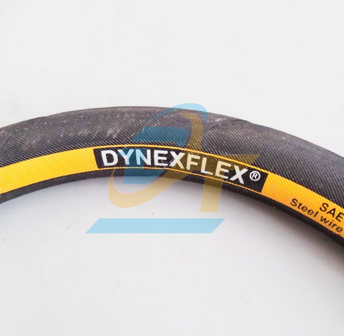 Ống tuy ô thủy lực 2 lớp bố Dynexflex 1/2"x1000mm bấm 2 đầu ren trong 19 côn lõm  DYNEXFLEX | Giá rẻ nhất - Công Ty TNHH Thương Mại Dịch Vụ Đạt Tâm