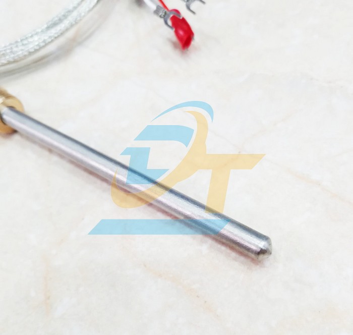 Cảm biến nhiệt độ PT100 M6x100mm Samil TW-N-PT-0.6-0.1-1/4" (1M)  SAMIL | Giá rẻ nhất - Công Ty TNHH Thương Mại Dịch Vụ Đạt Tâm