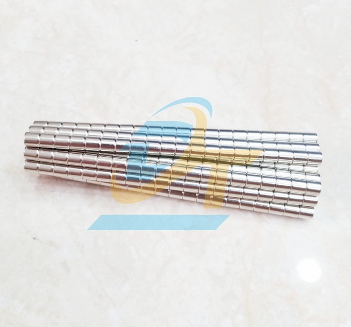 Nam châm viên 8x8mm  VietNam | Giá rẻ nhất - Công Ty TNHH Thương Mại Dịch Vụ Đạt Tâm