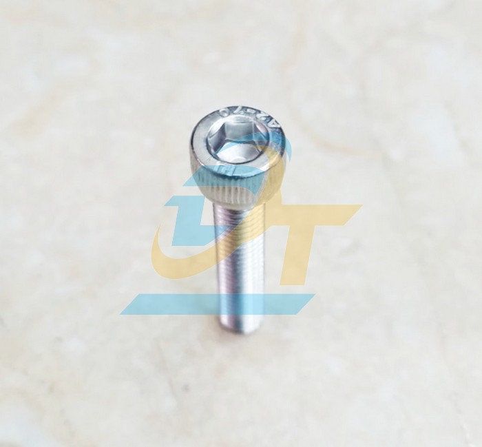 Bulong lục giác chìm đầu trụ inox 304 M6x30  VietNam | Giá rẻ nhất - Công Ty TNHH Thương Mại Dịch Vụ Đạt Tâm