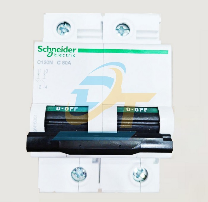 Cầu dao tự động MCB Acti9 2P 80A 10kA Schneider A9N18361 A9N18361 SCHNEIDER | Giá rẻ nhất - Công Ty TNHH Thương Mại Dịch Vụ Đạt Tâm