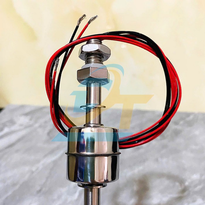 C&ocirc;ng tắc phao (Phao điện đ&ocirc;i) cảm biến mực nước inox 316 200mmm  VietNam | Gi&aacute; rẻ nhất - C&ocirc;ng Ty TNHH Thương Mại Dịch Vụ Đạt T&acirc;m