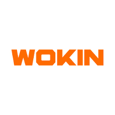Wokin